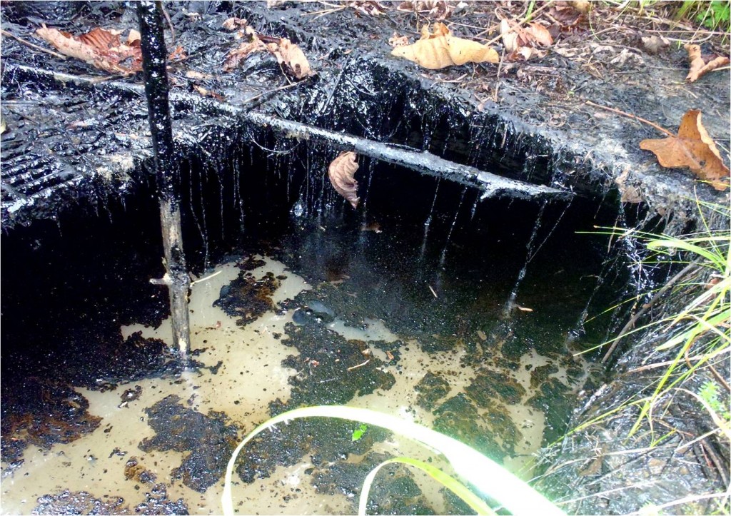 Well 6 foundation (overflows with rain), Bartra oil reserve, Tigre river valley, site 1AB. Photo: courtesy of FECONACO