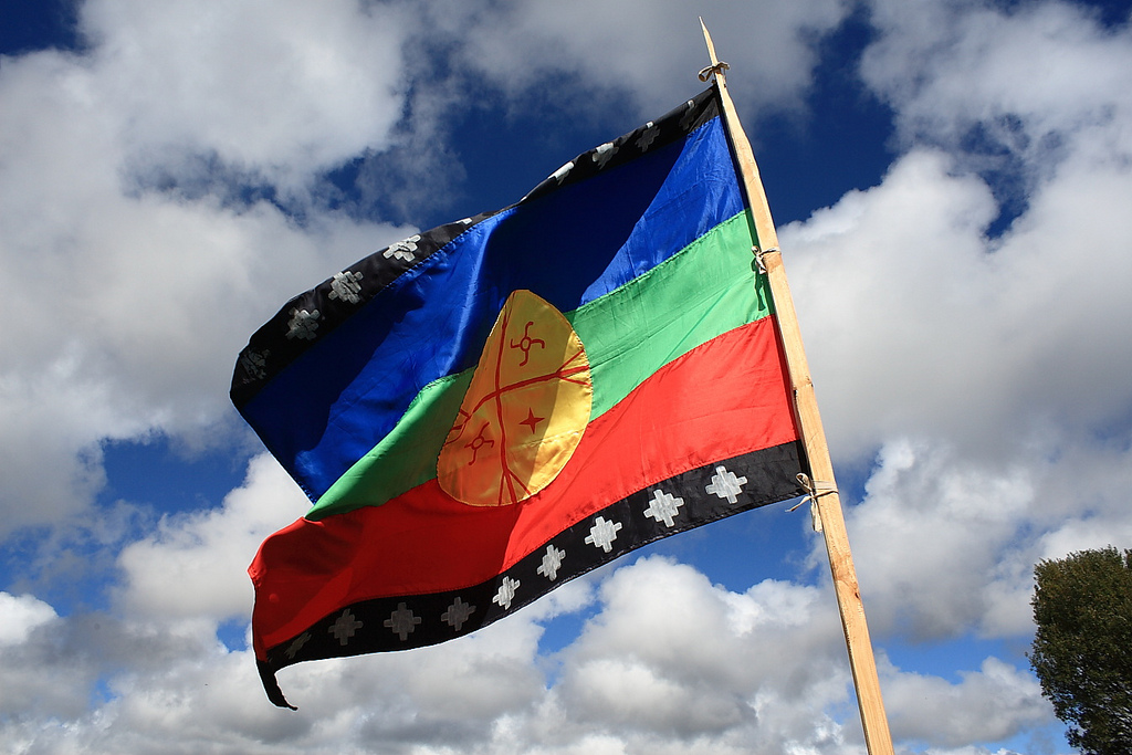 Bandiera Mapuche