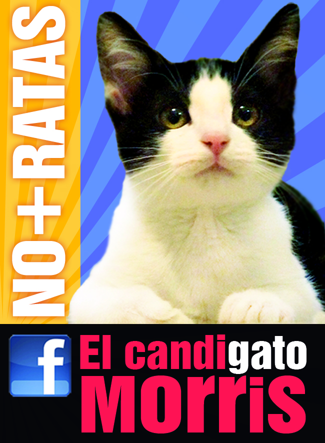Promo de campaña, compartido en la página oficial elcandigato.com