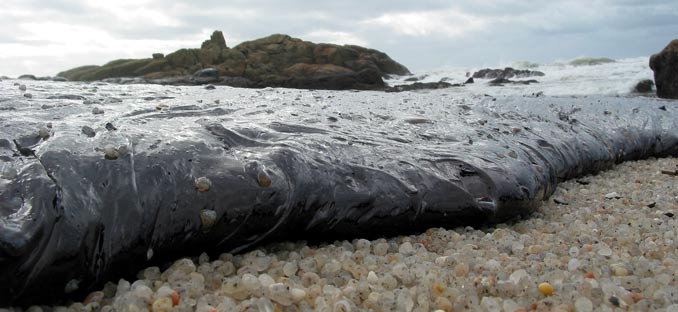 Marea negra en una playa gallega. Foto de Wikimedia Commons con licencia CC by SA 3.0
