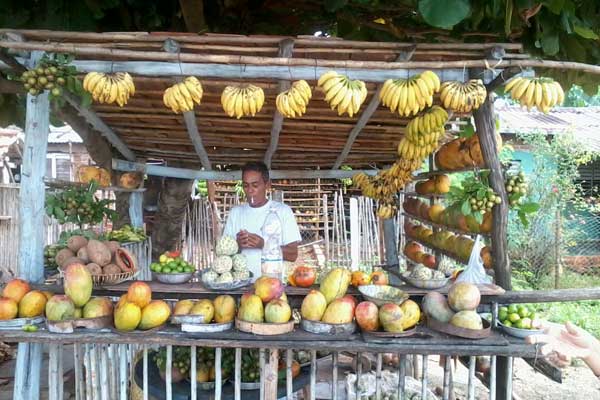 Le prix des produits alimentaires a augmenté à Cuba, tandis que les salaires des travailleurs restent inchangés. (Photo courtoisie de l'auteur.)