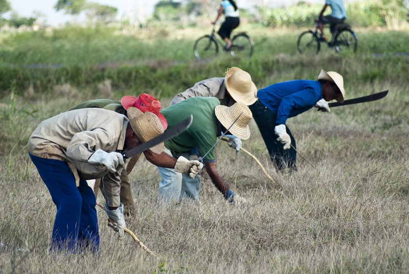 Entra en vigor el nuevo Código de Trabajo cubano (Foto: Alejandro Menéndez Vega)