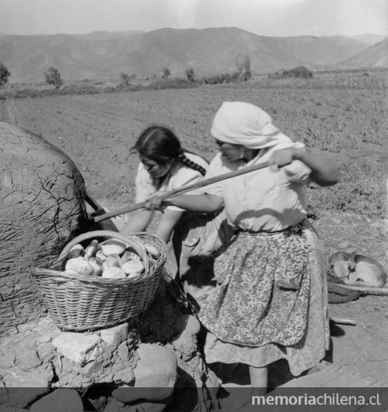 Reforma agraria y mujeres campesinas
